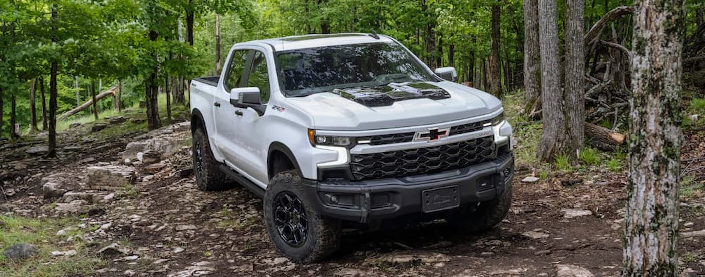 A white 2024 Chevy Silverado 1500 ZR2 Bison from the front.